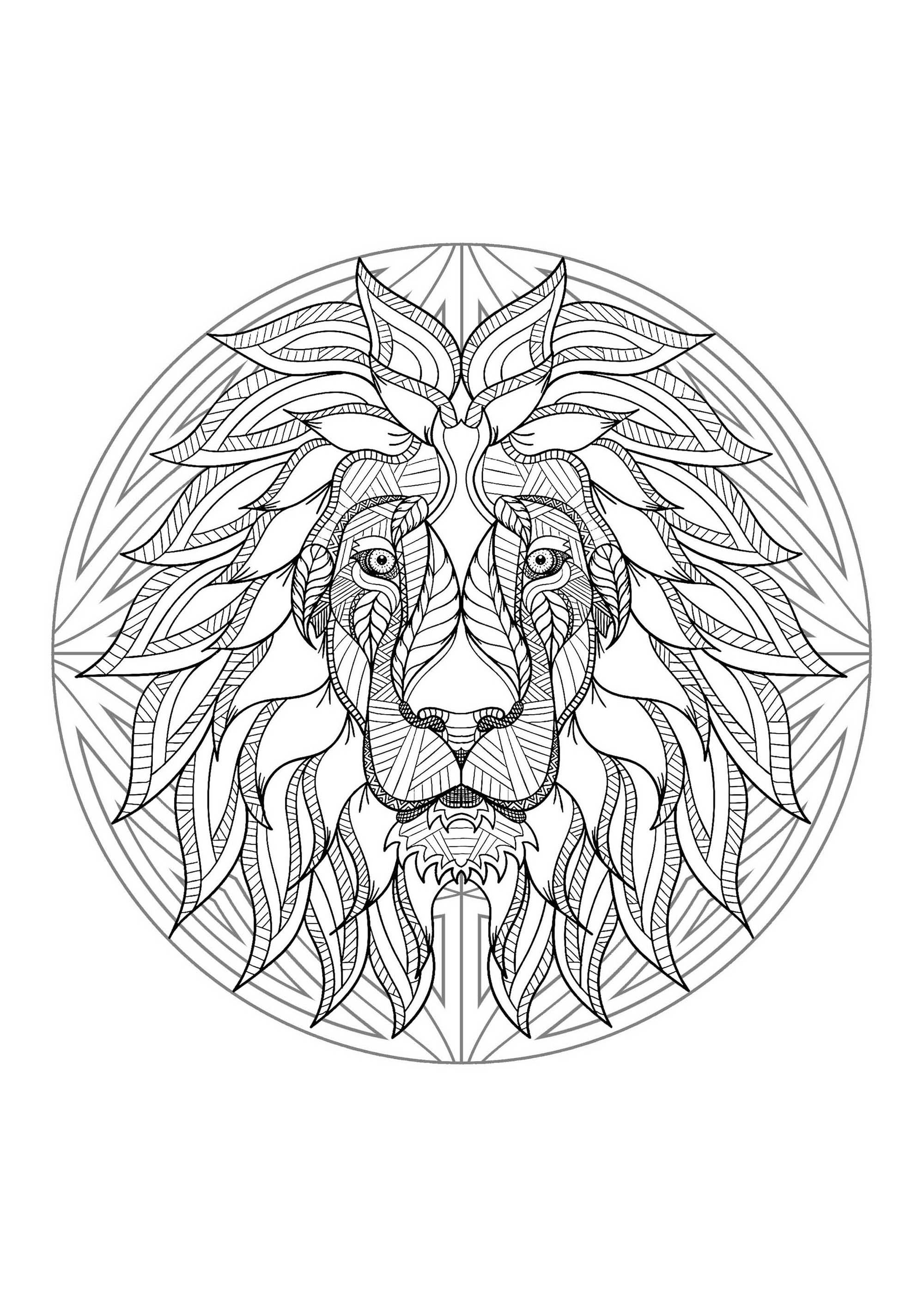 Una cabeza de león en un mandala. ¡Una auténtica obra maestra! Este colorido representa una cabeza de león perfectamente integrada en un mandala complejo y rico.