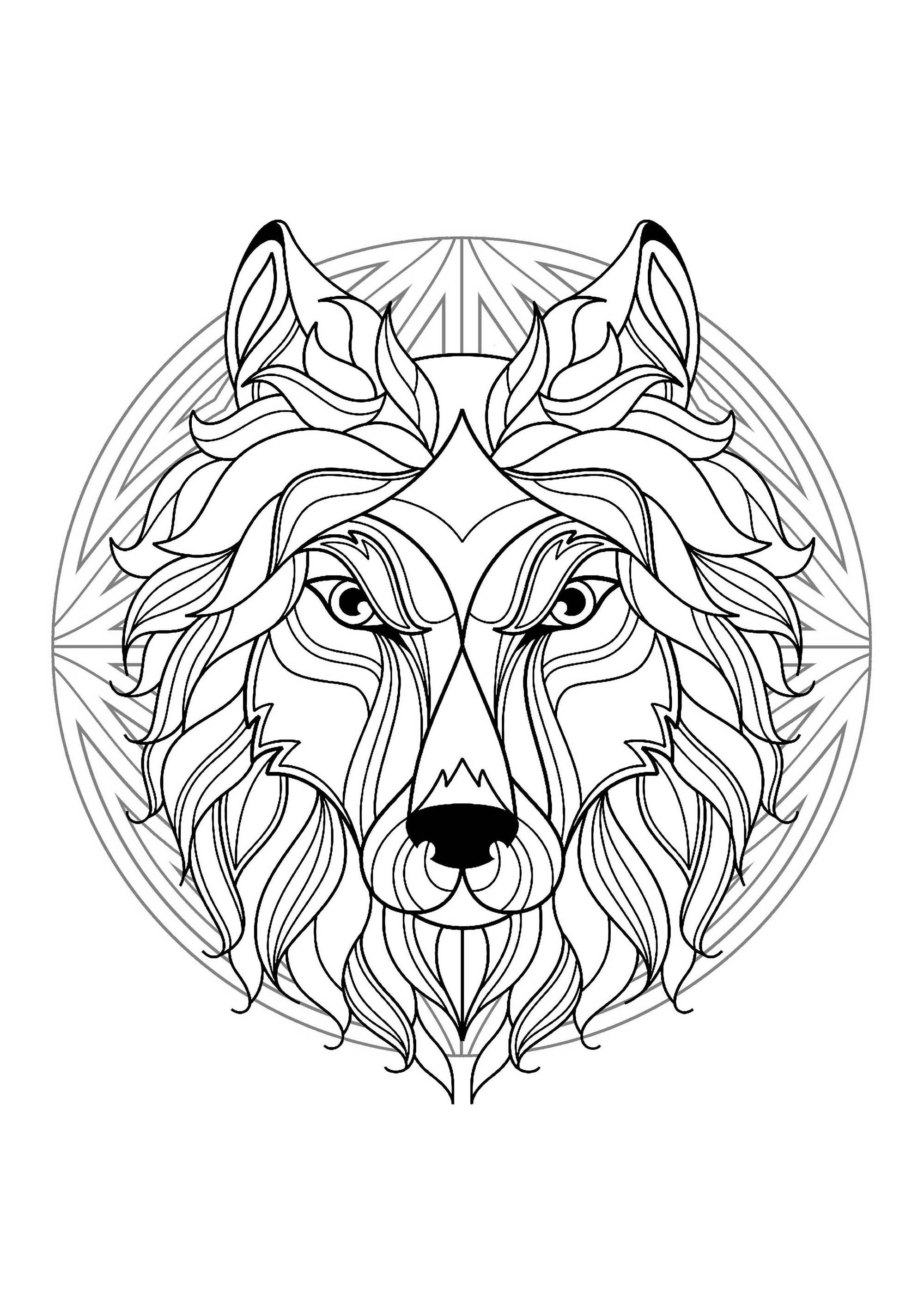Mandala para colorear con magnífica cabeza de Lobo y motivos sencillos de fondo