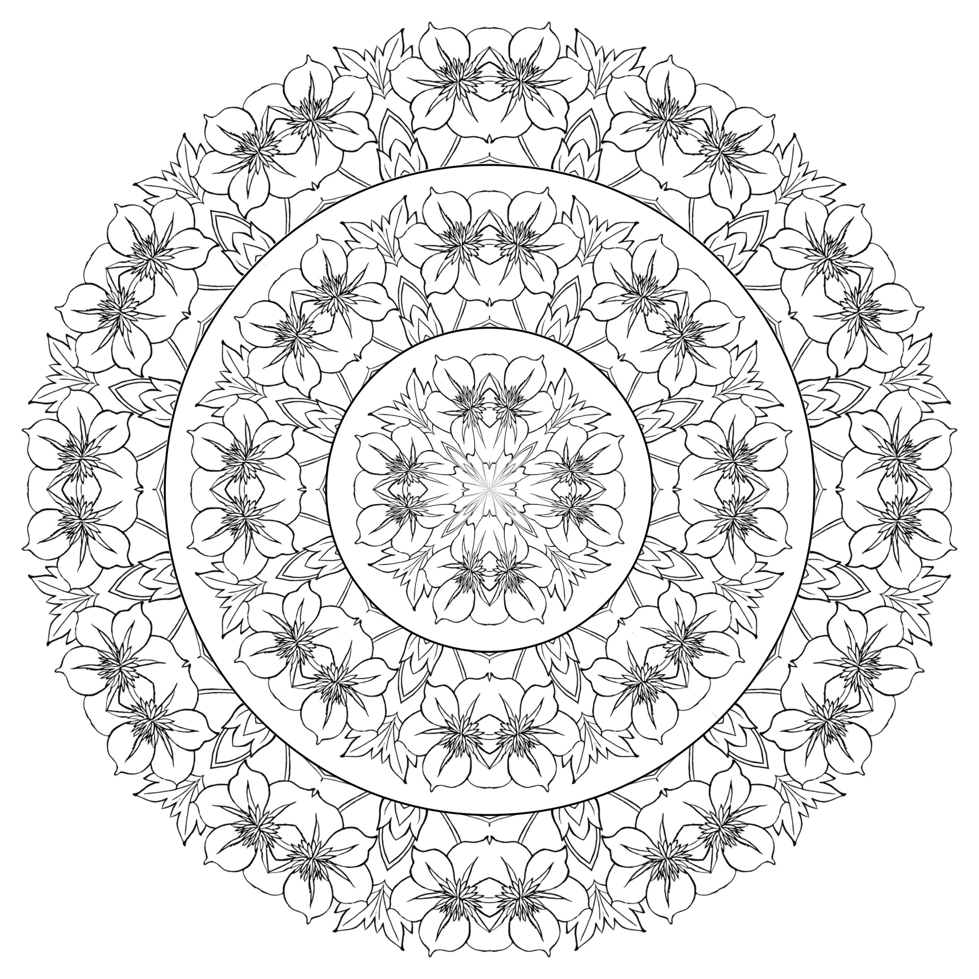 Un mandala de flores y hojas idénticas. Todas las flores y hojas de este mandala son idénticas, pero pueden colorearse individualmente. Este mandala floreado ofrece multitud de posibilidades para dar rienda suelta a tu creatividad y crear un esquema de coloreado único que refleje tu personalidad.