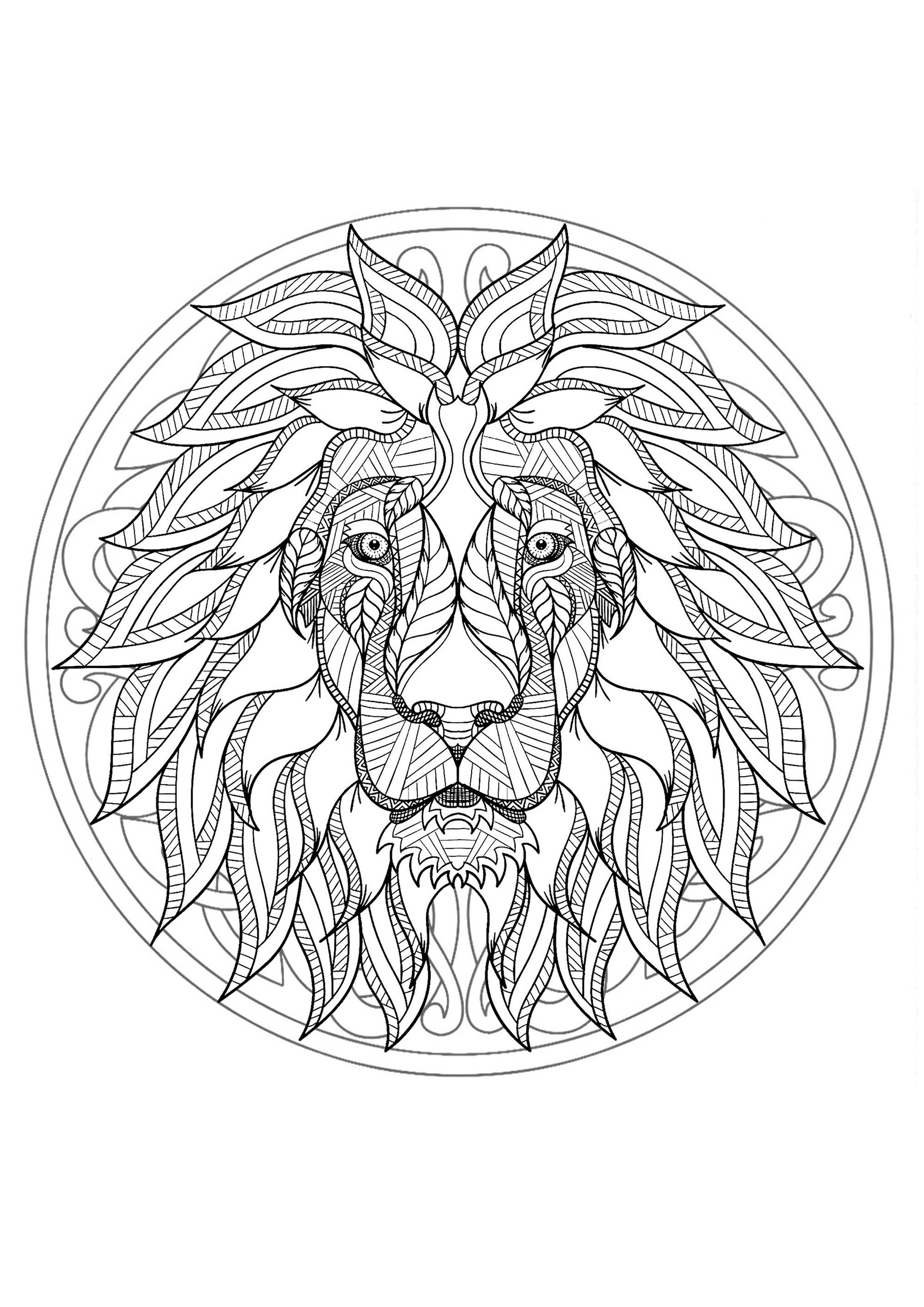 Página para colorear con cabeza de león y hermoso mandala de fondo