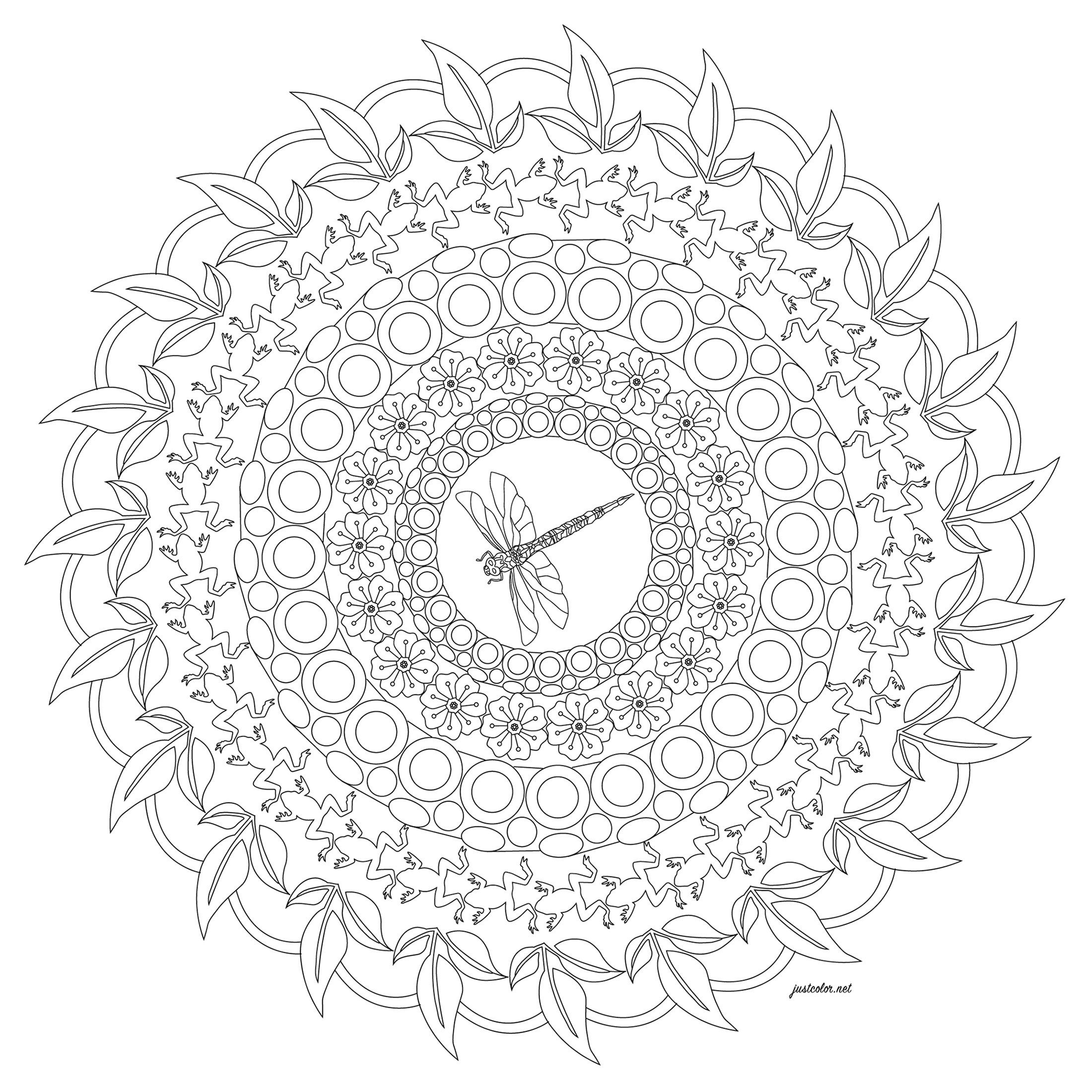 Colorea este mandala con una libélula en el centro. ¿Ves las ranas?, Artista : Morgan