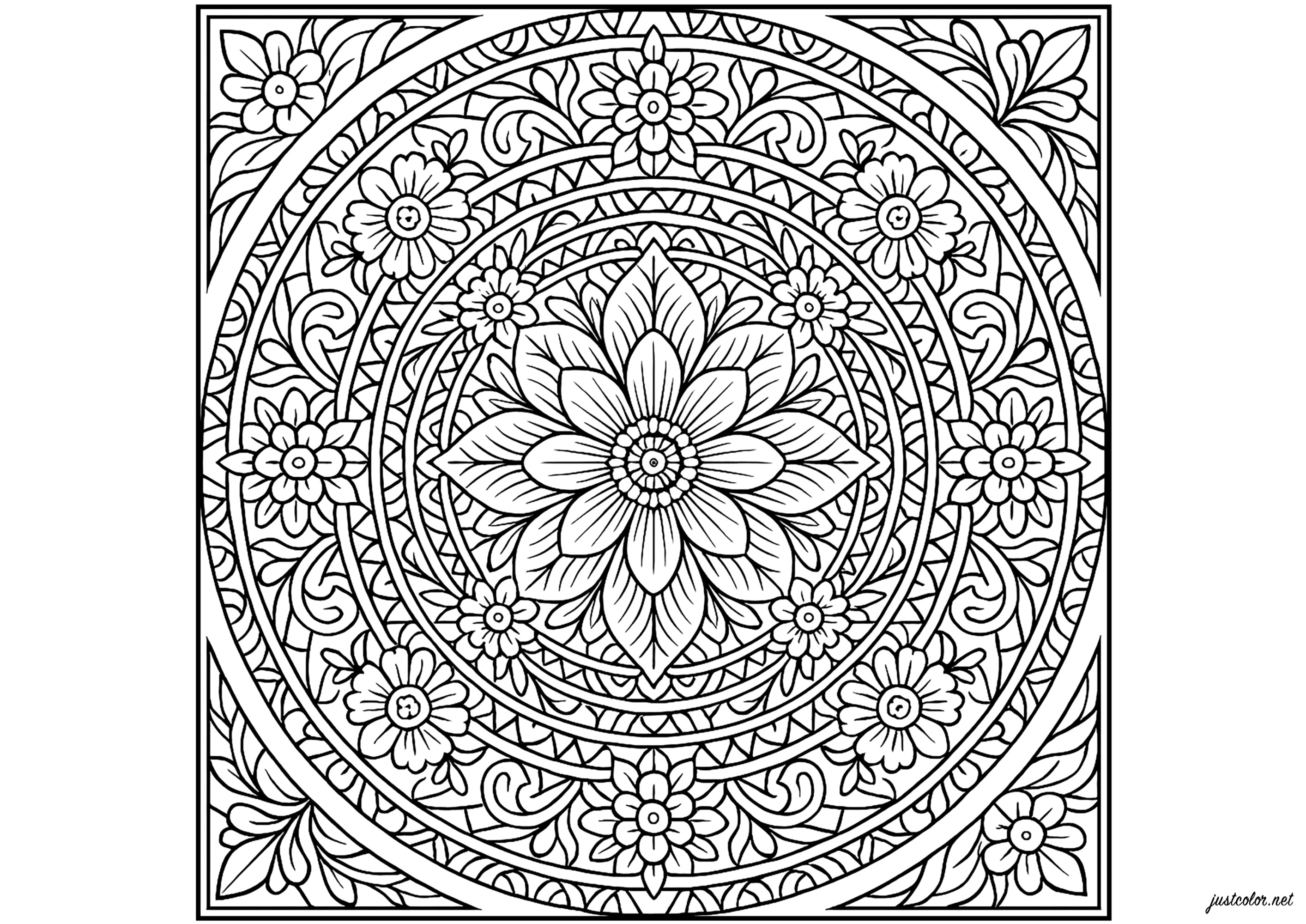 Mandala Floral Complejo (Página para imprimir para adultos)