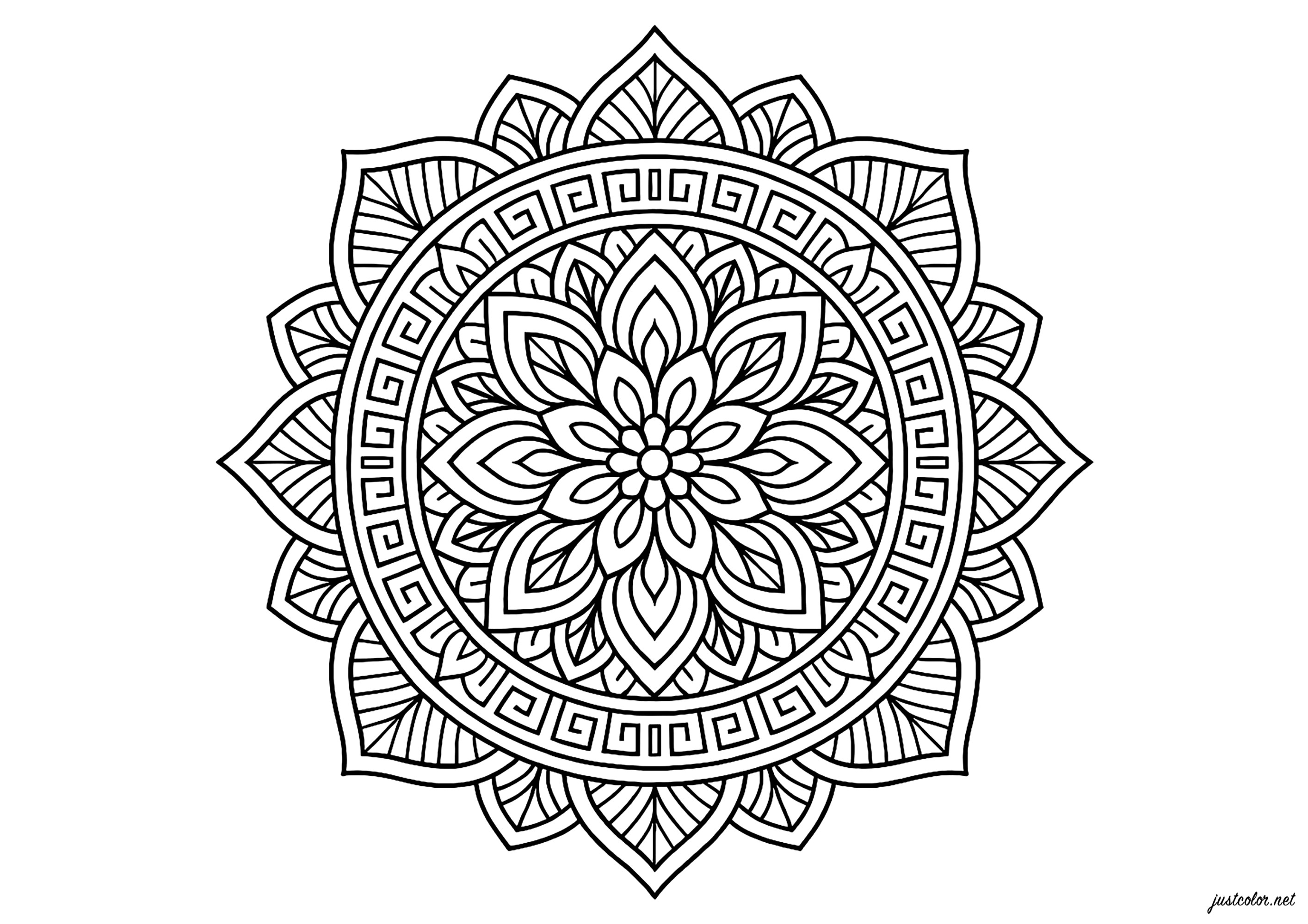 Cautivadora, simetría floral detallada (Página de Mandalas para imprimir para adultos)