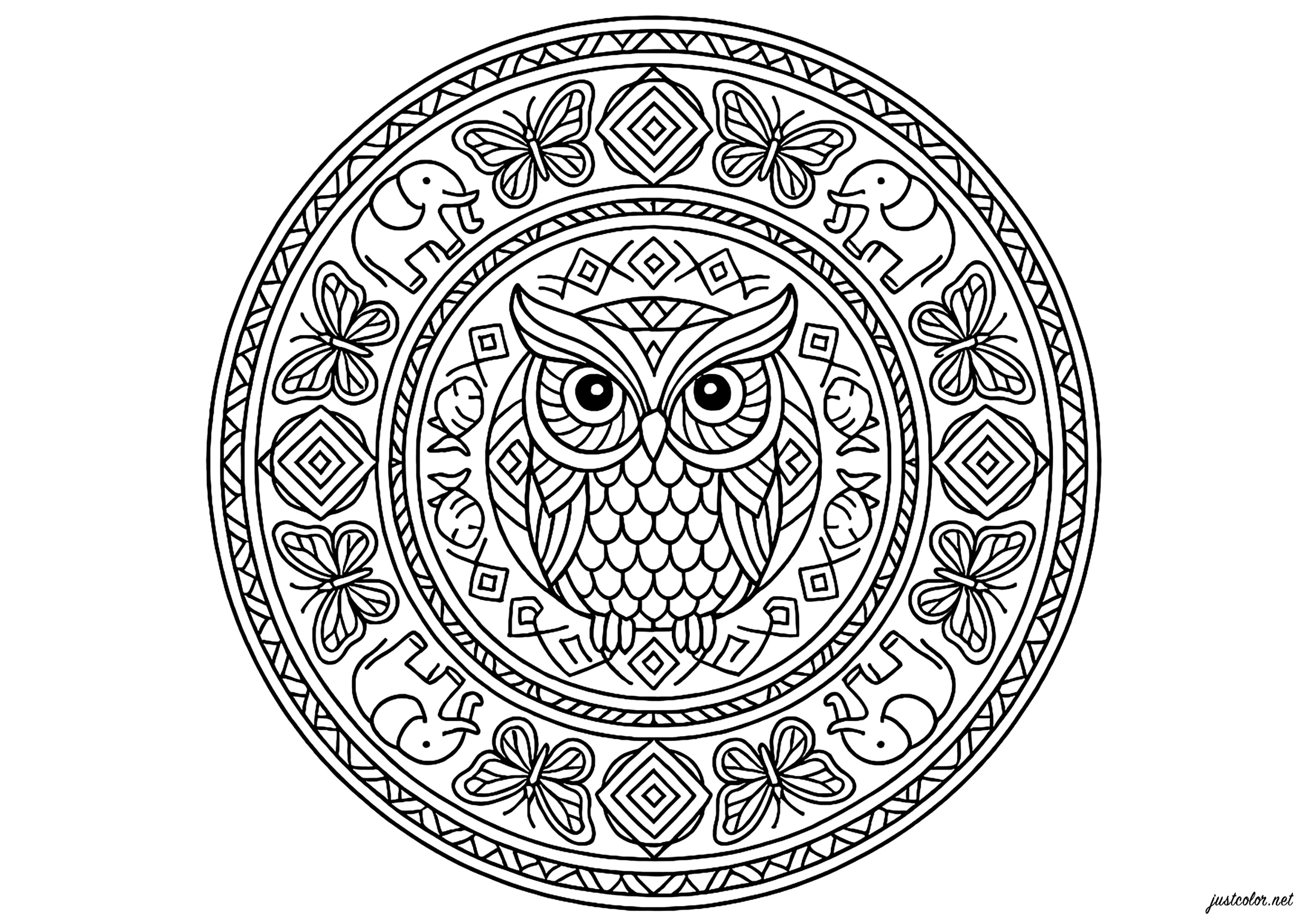 Mandala con Búho (Página para imprimir para adultos)