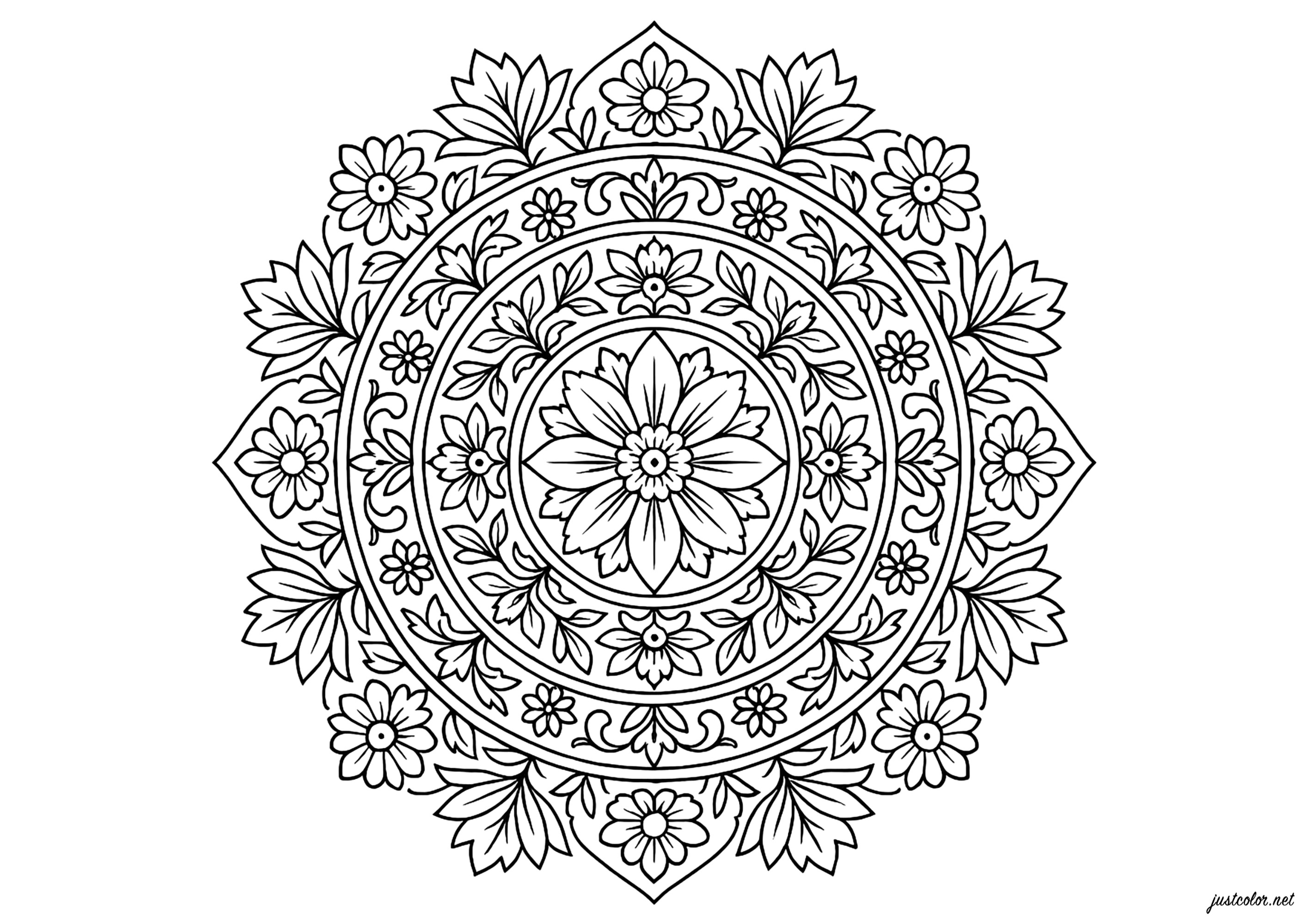 Mandala Floral Simétrico (Página para imprimir para adultos)