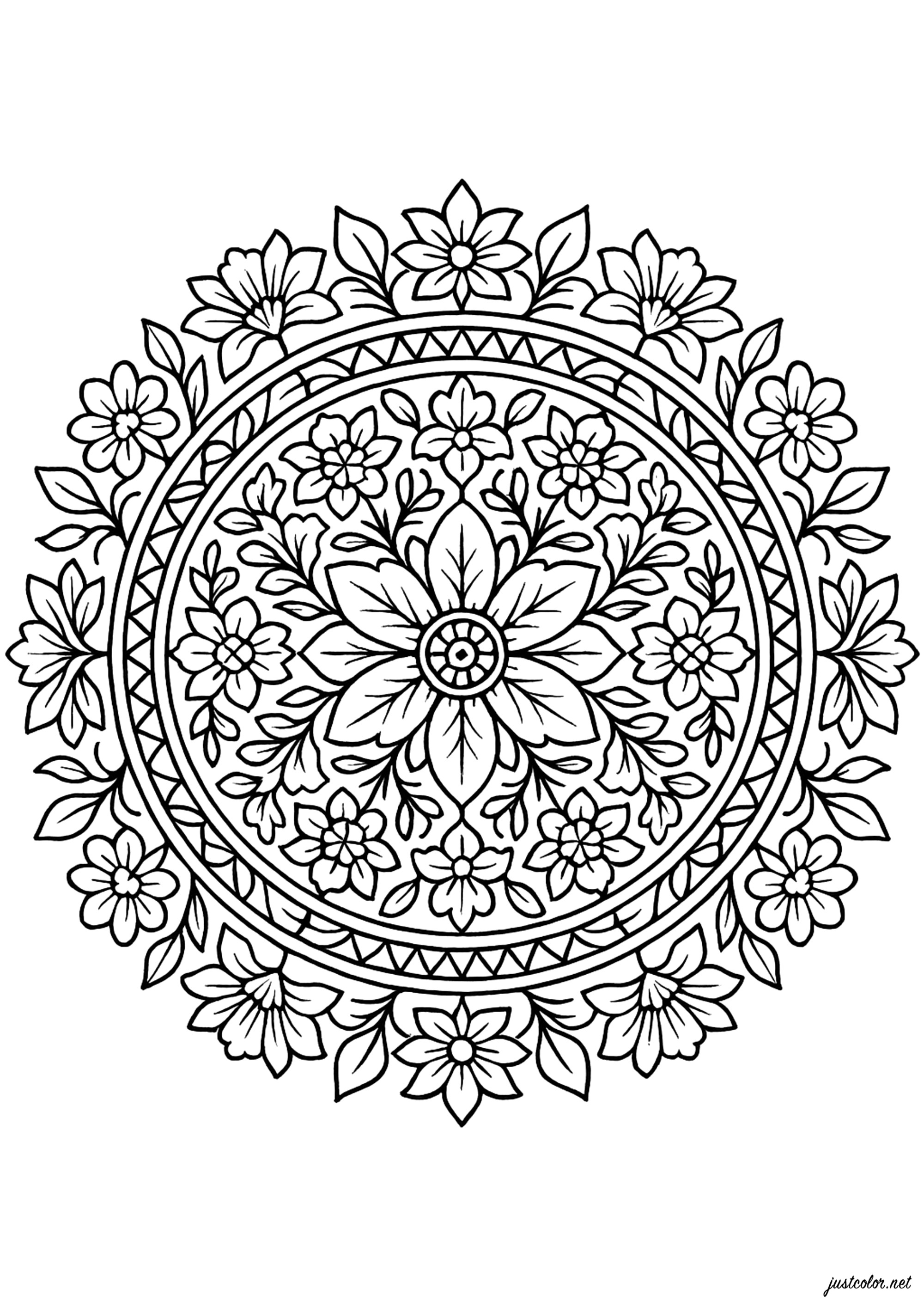 Armonía floral en un mandala complejo (Página para imprimir para adultos)