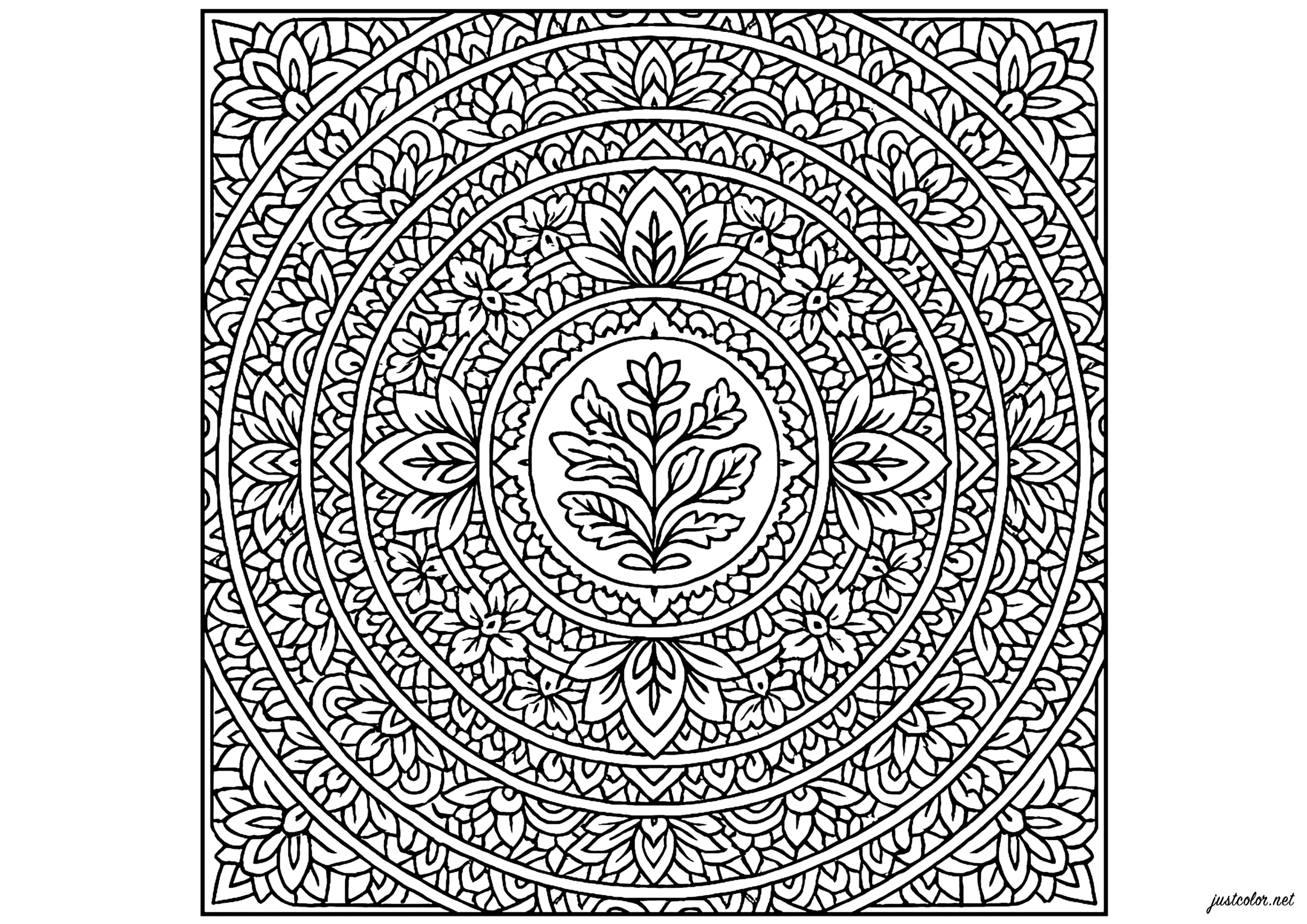 Armonía floral en círculos perfectos (Página de Mandalas para imprimir para adultos)