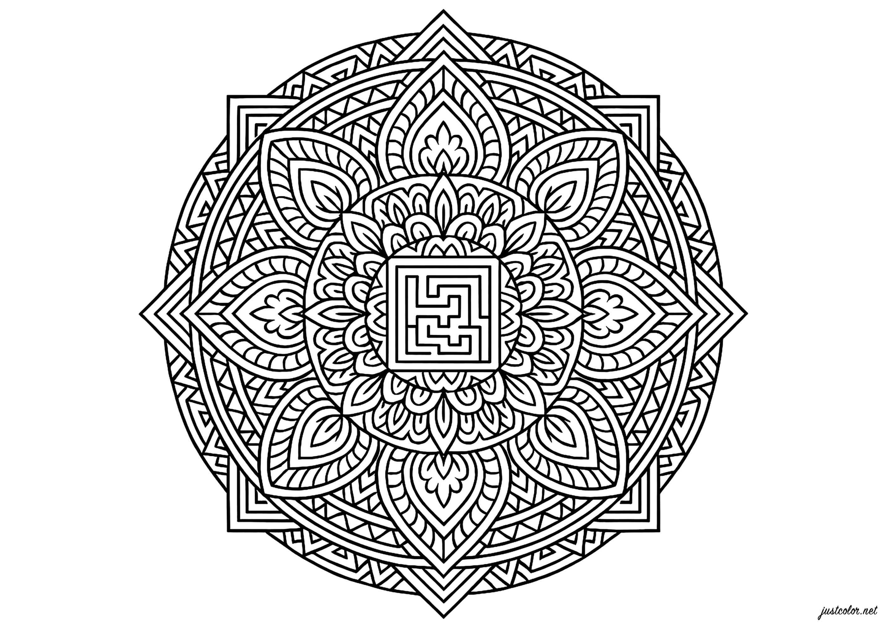 Hechicera, compleja simetría floral (Página de Mandalas para imprimir para adultos)