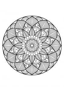 Mandala de libros para colorear gratis para adultos   30