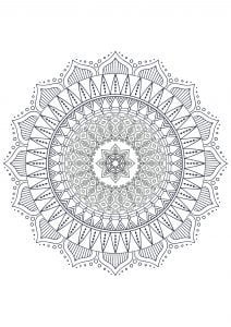 Mandalas 2447