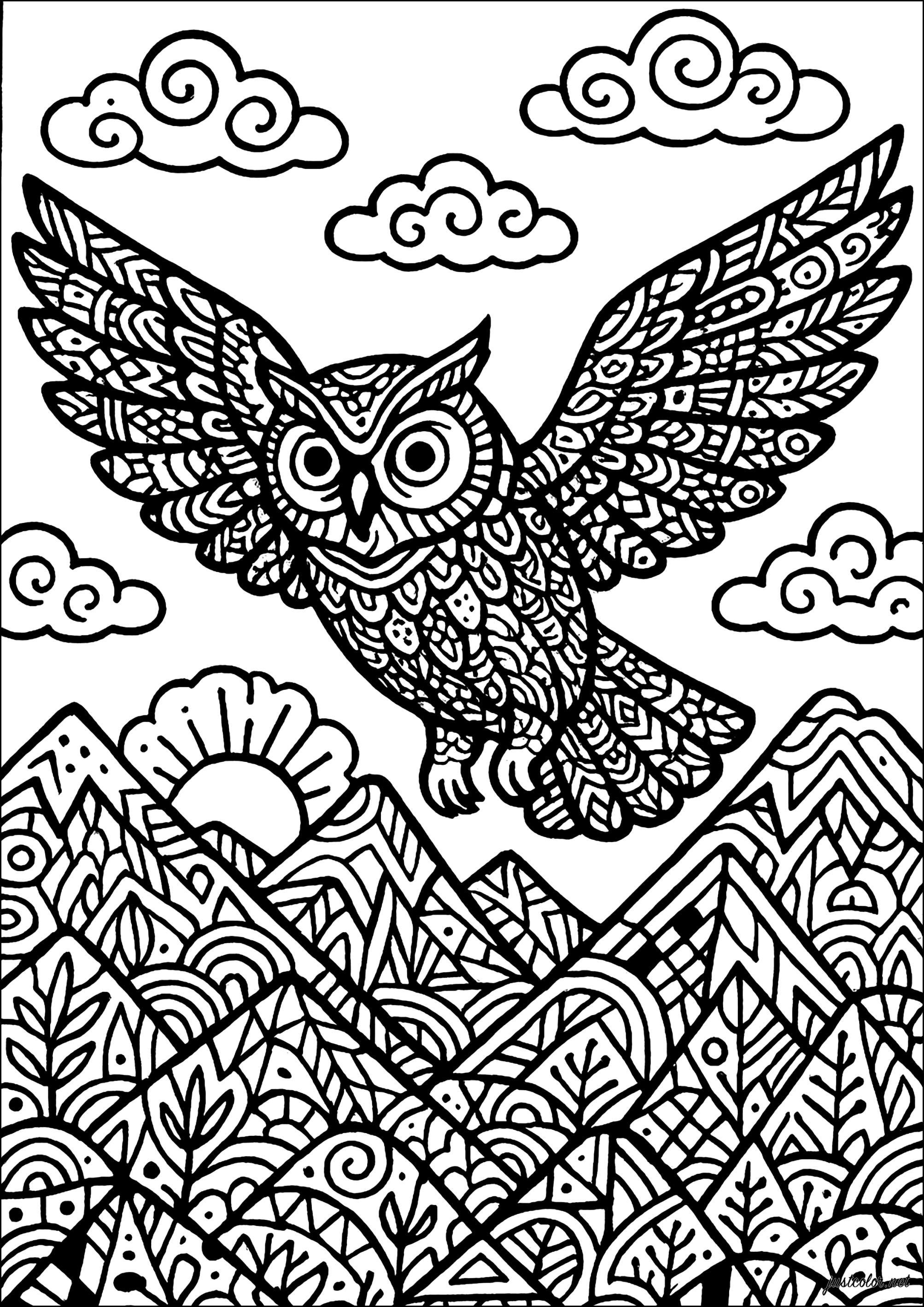 Hibou Viajero de las Cumbres (Página de Búhos para imprimir para adultos)