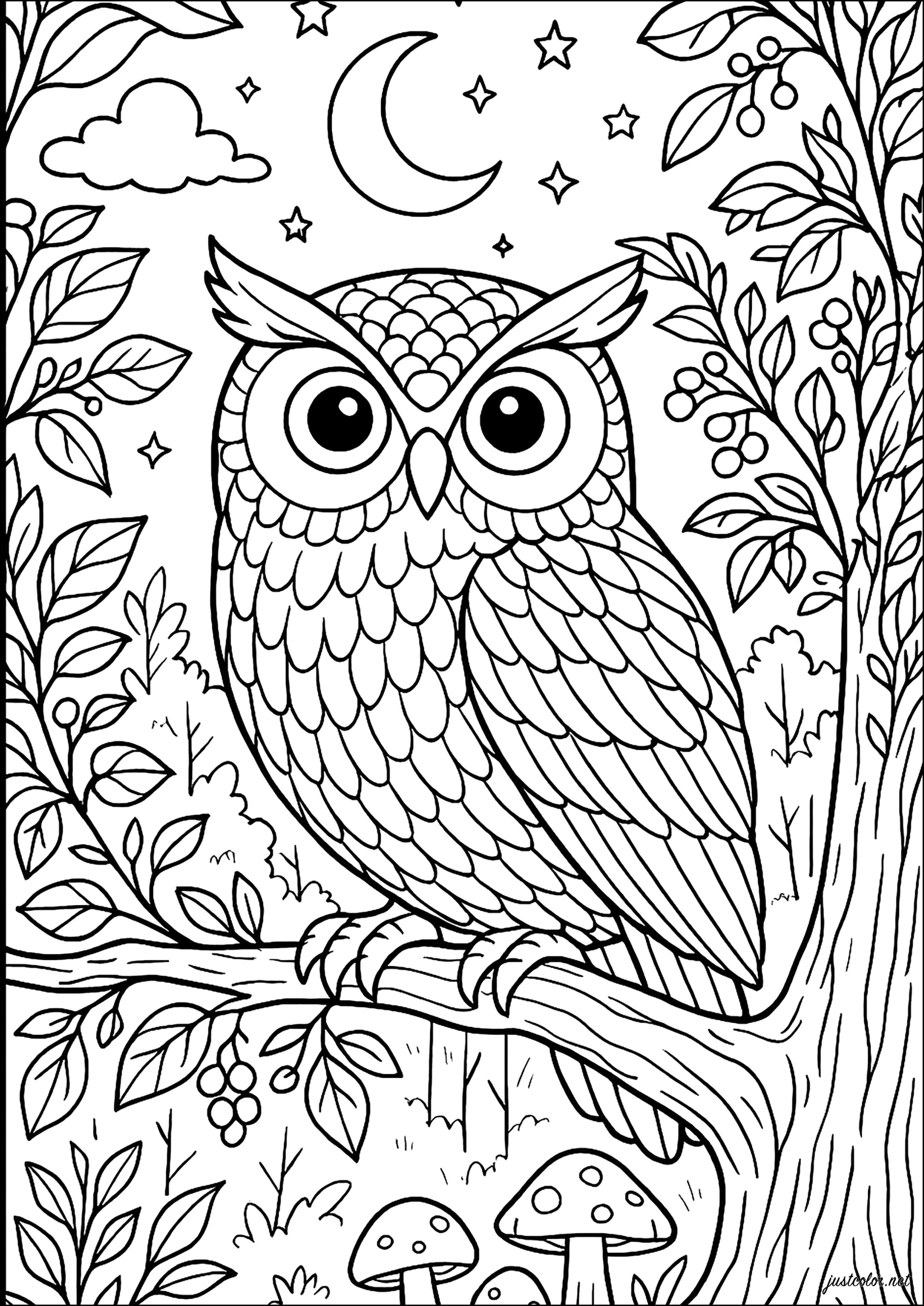 Búho nocturno en el bosque encantado (Página para imprimir para adultos)