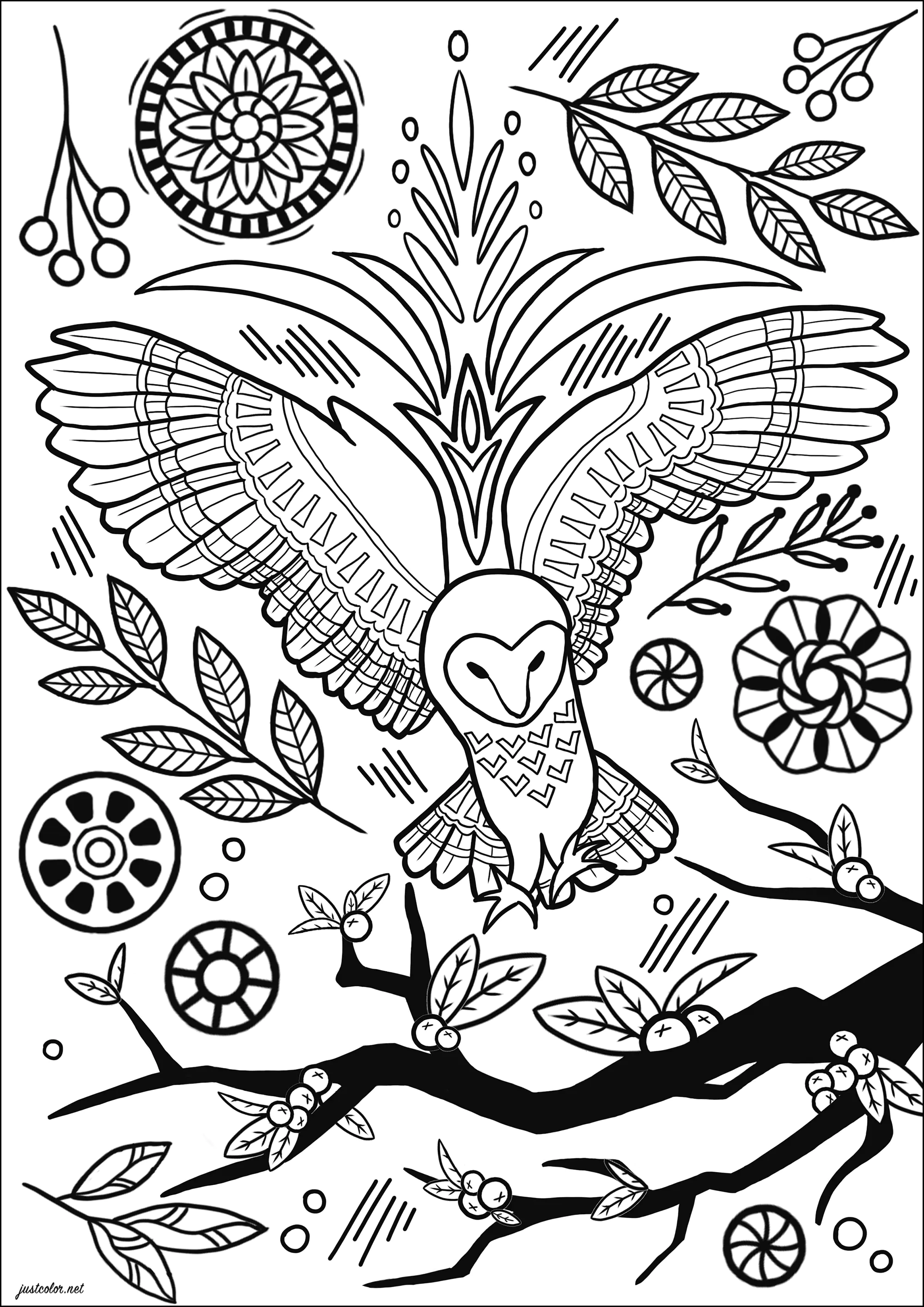 Búho en vuelo con flores y motivos abstractos (Página para imprimir para adultos)