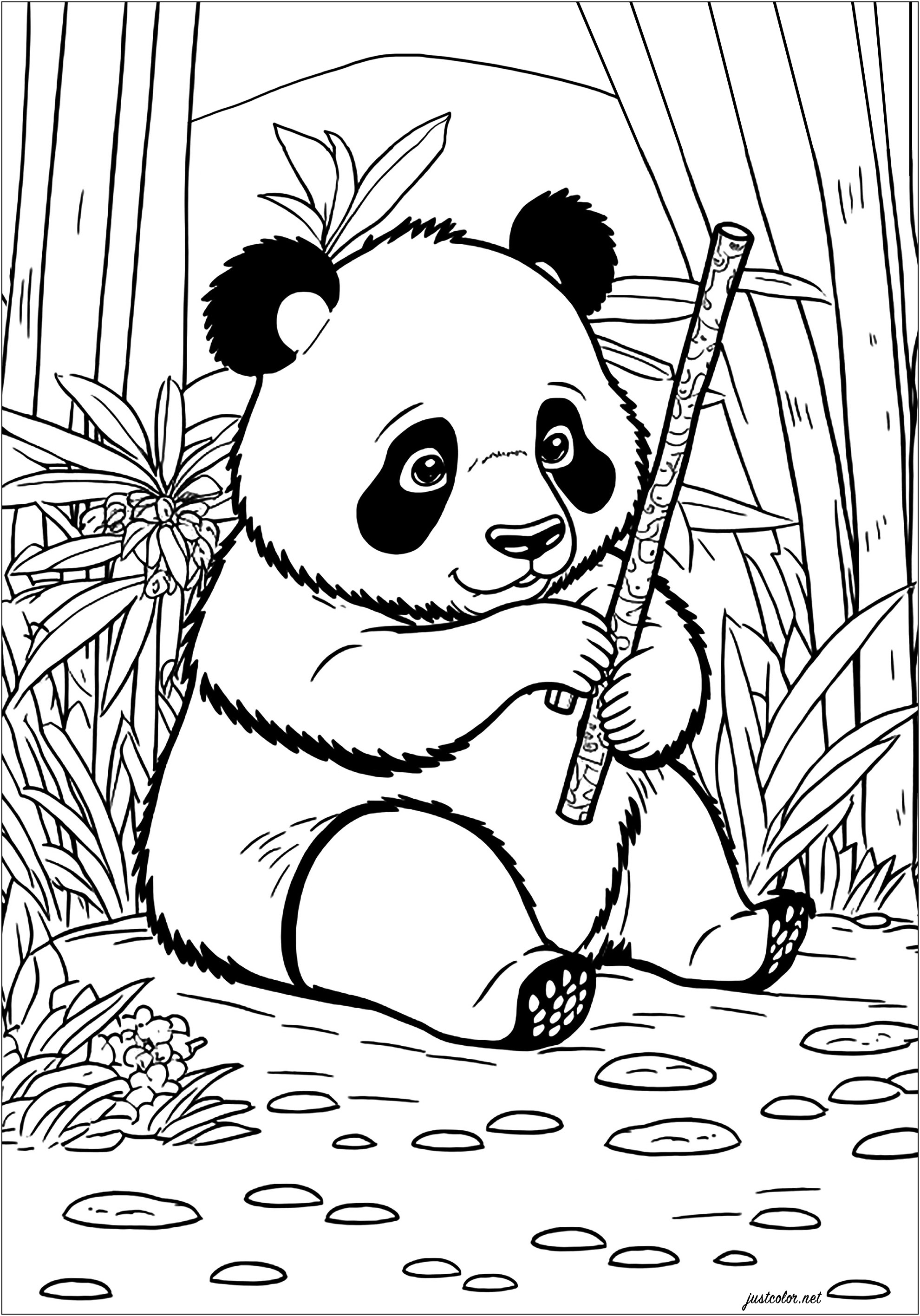 Panda joven comiendo bambú. Este panda de mejillas redondas y expresión juguetona está sentado en un frondoso bosque lleno de altos árboles de bambú. Come alegremente un tallo de bambú, ¡parece muy hambriento!