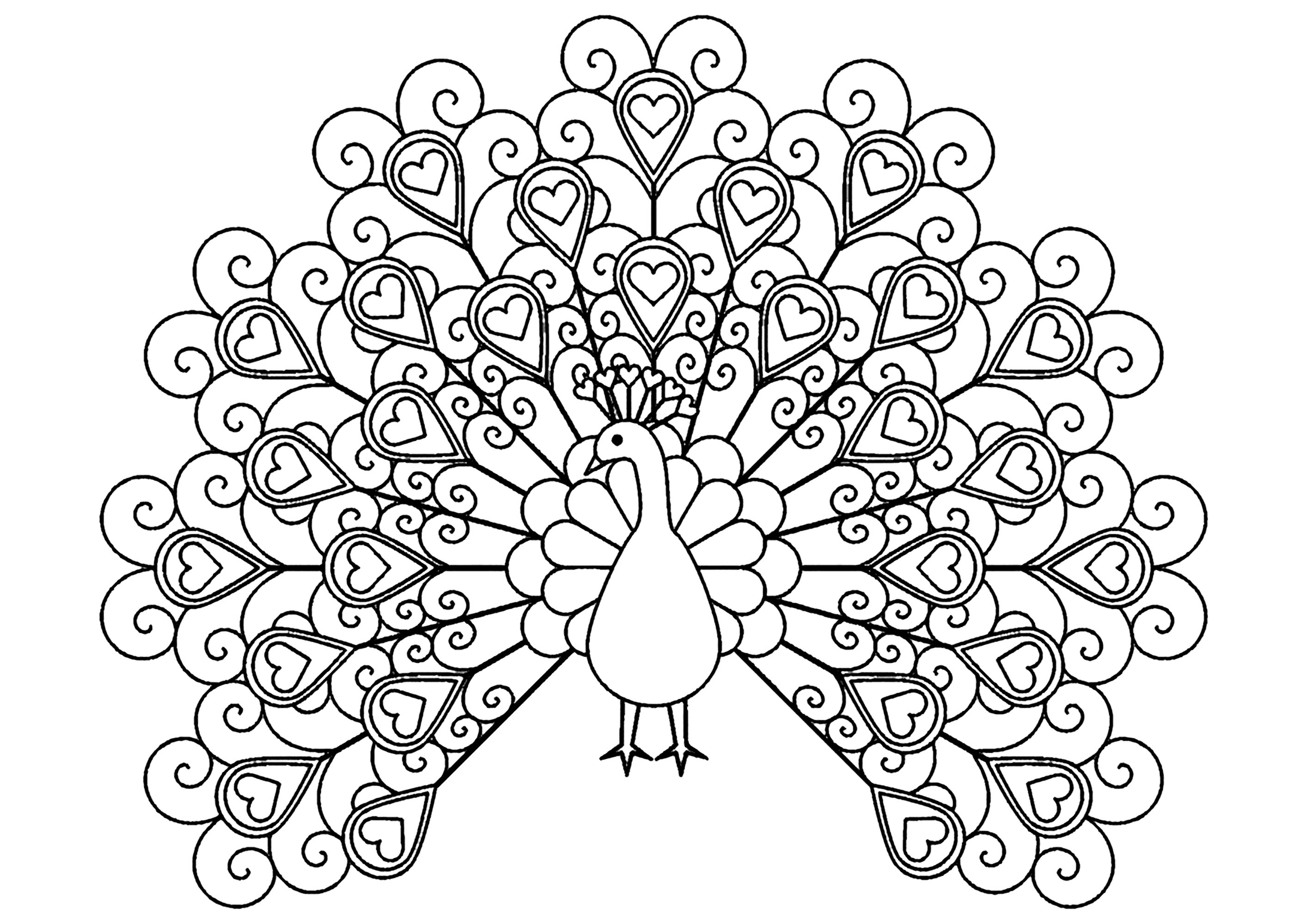 Sencilla página para colorear de un pavo real lleno de elegantes corazones Sencilla página para colorear de un pavo real lleno de elegantes corazones