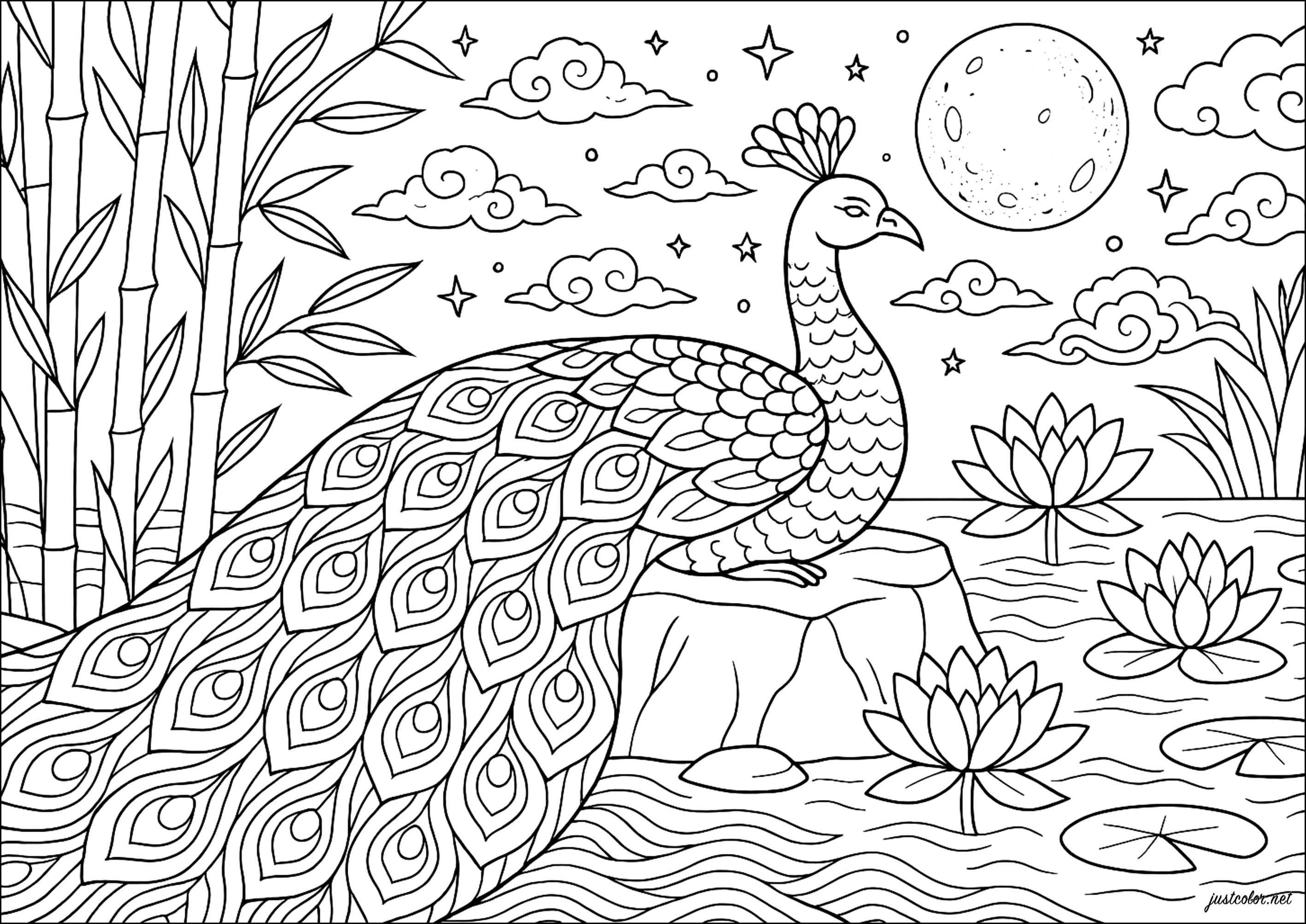 Majestuoso pavo real bajo la luna (Página de Pavos Reales para imprimir para adultos)