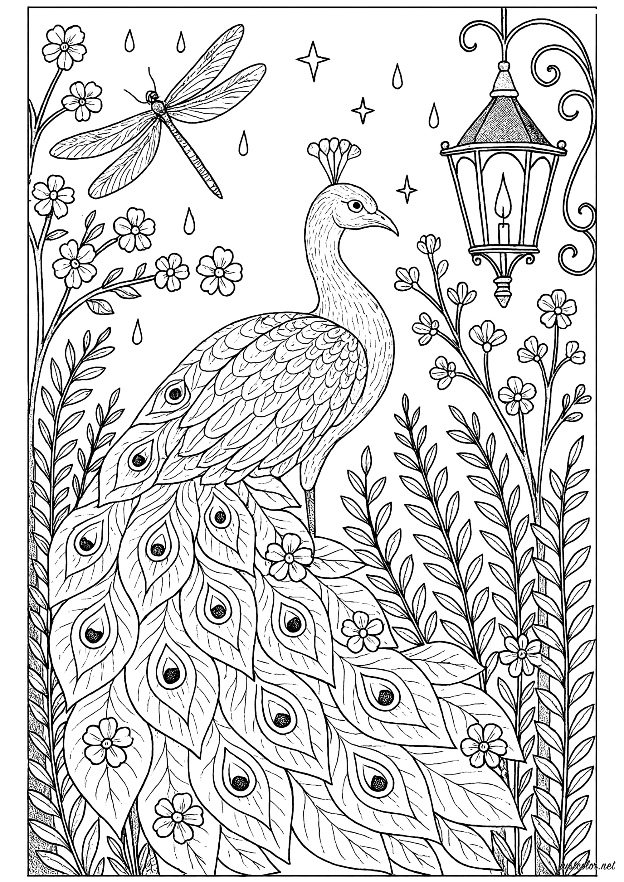 Majestuoso Pavo Real y Naturaleza Encantada (Página de Pavos Reales para imprimir para adultos)