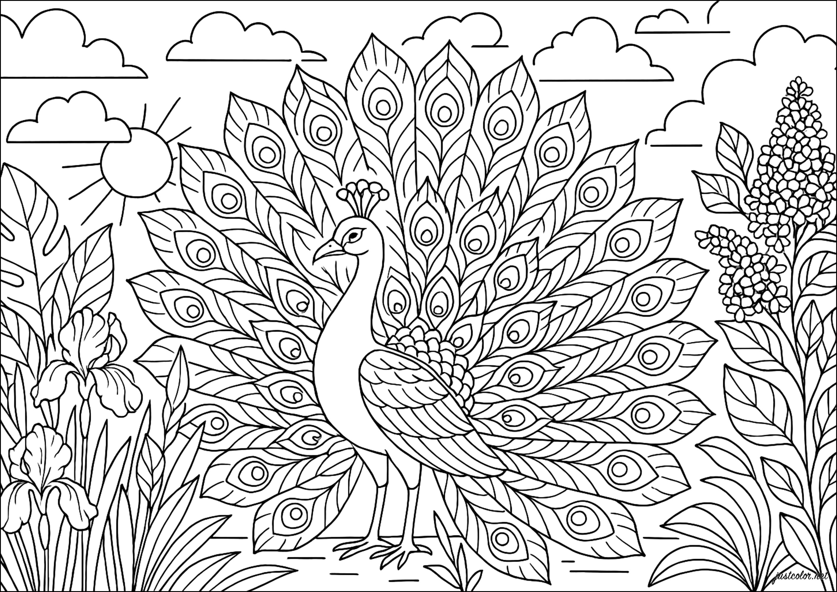 Majestad del Pavo Real (Página de Pavos Reales para imprimir para adultos)