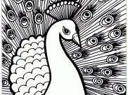 Pavos Reales