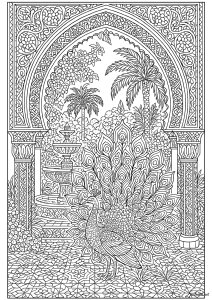 Majestuoso pavo real en un jardín morisco (Página de Pavos Reales para imprimir)