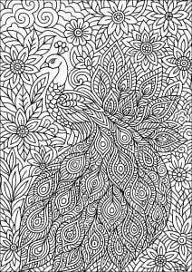 Majestuoso Pavo Real en Zentangle (Página de Pavos Reales para imprimir)