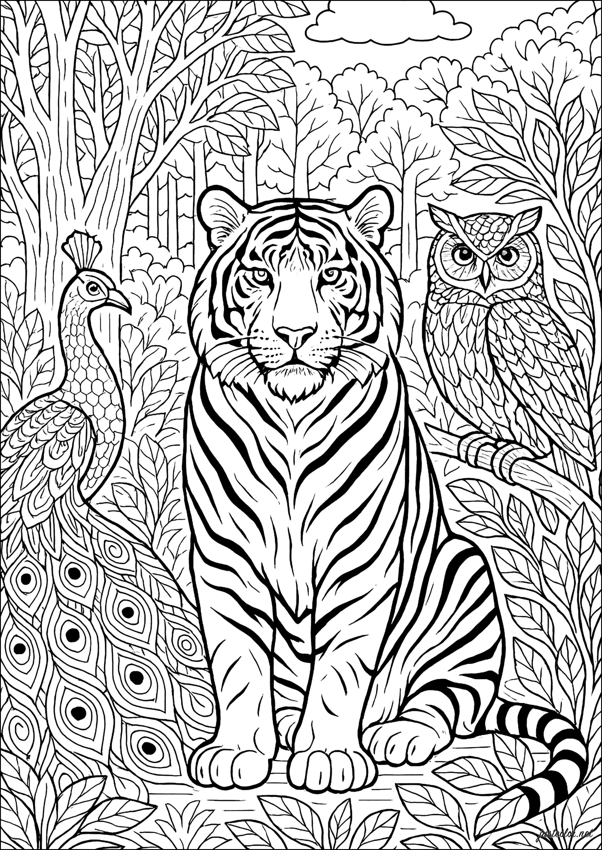 Majestuoso tigre y sus compañeros del bosque (Página para imprimir para adultos)