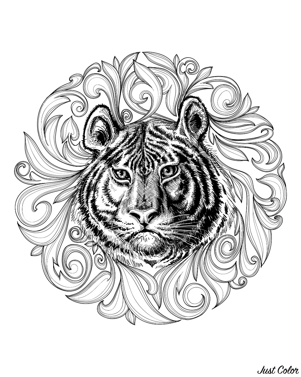 Colorear para adultos  : Tigres - 2