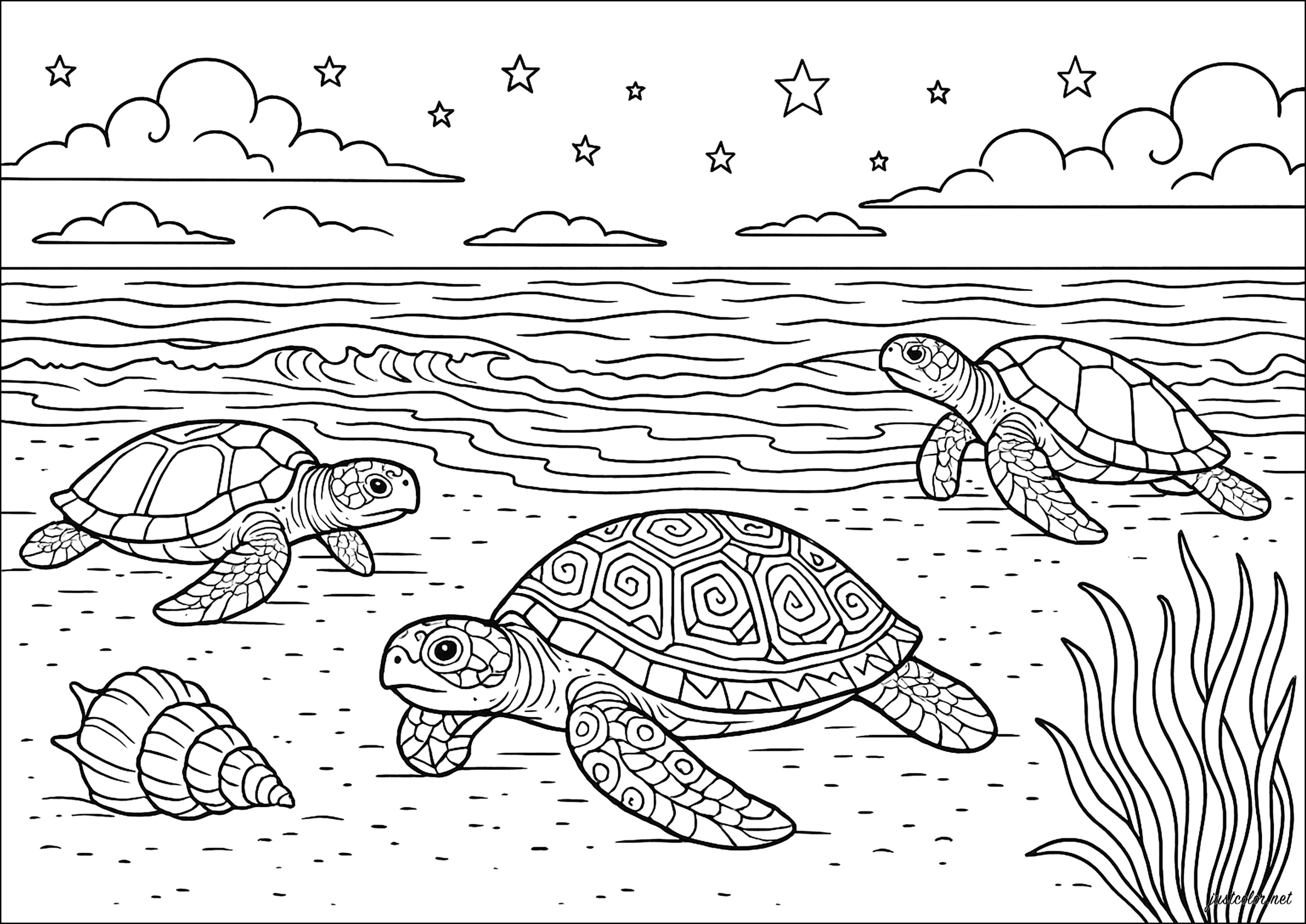 Tortugas al anochecer (Página para imprimir para adultos)