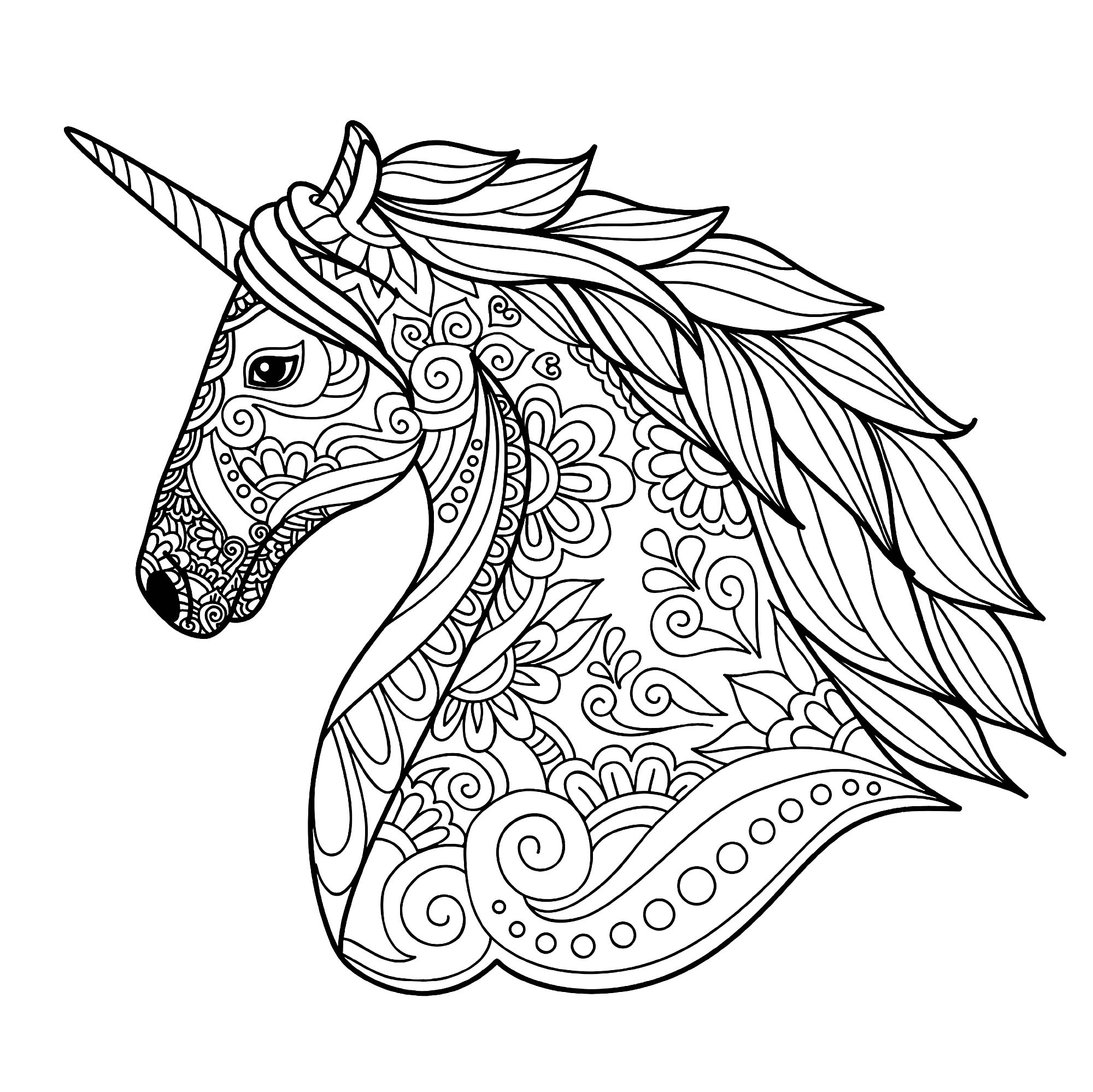 Colorear para adultos  : Unicorni - 2, Origen : 123rf   Artista : Tierre3012