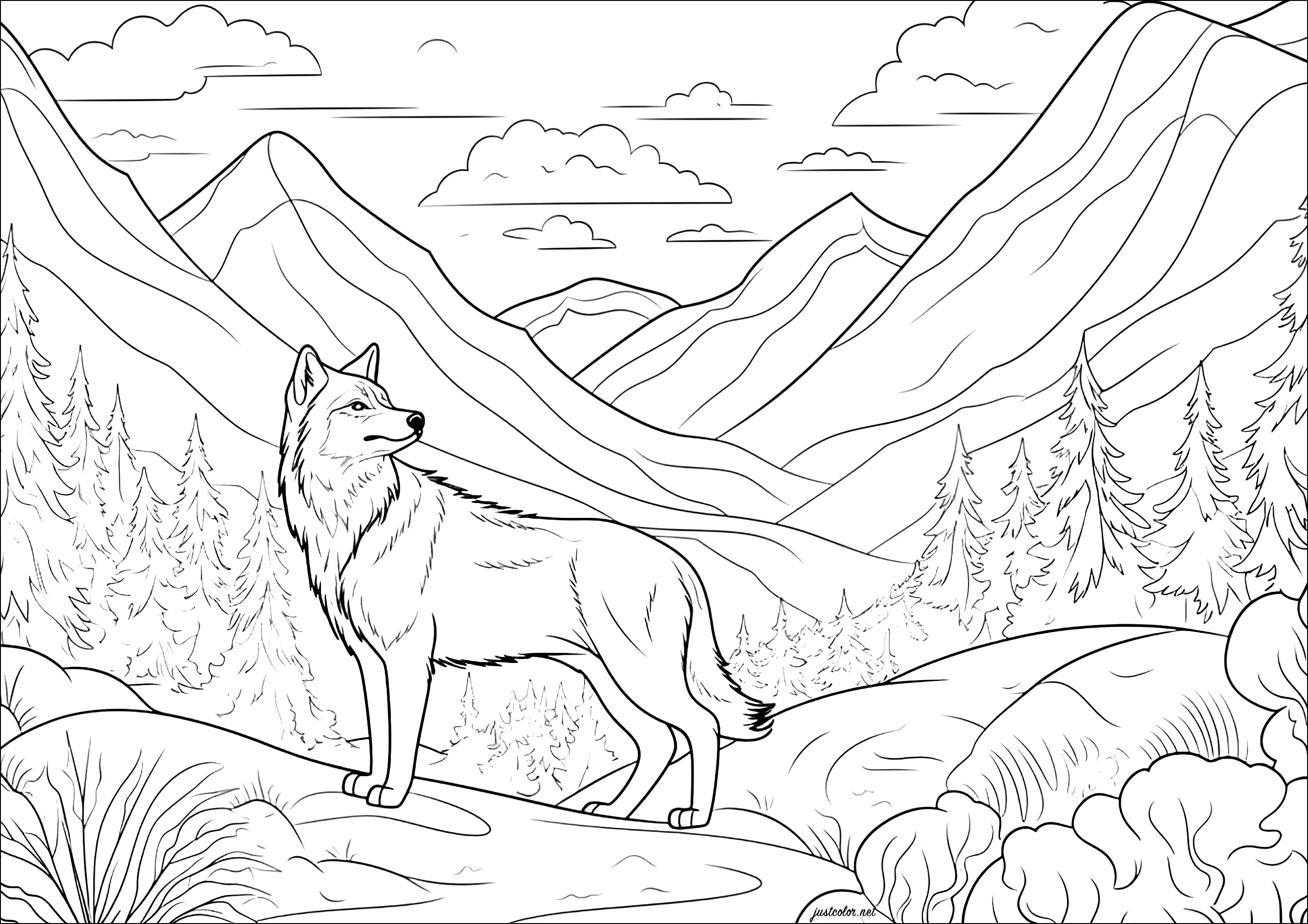 Lobo en la montaña (Página para imprimir para adultos)