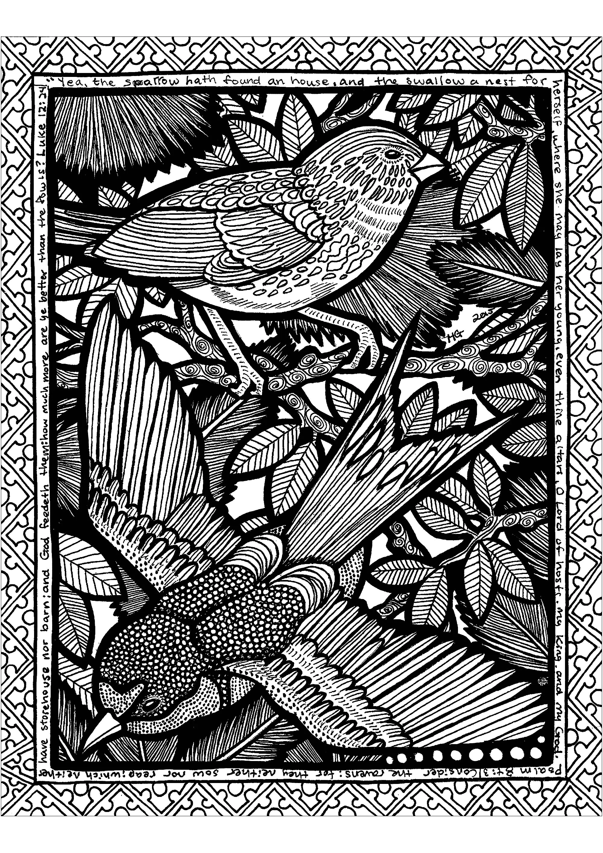 Líneas de las aves (Página de Zentangle para imprimir para adultos)