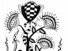 Flores salvajes (Página de Zentangle  para imprimir)