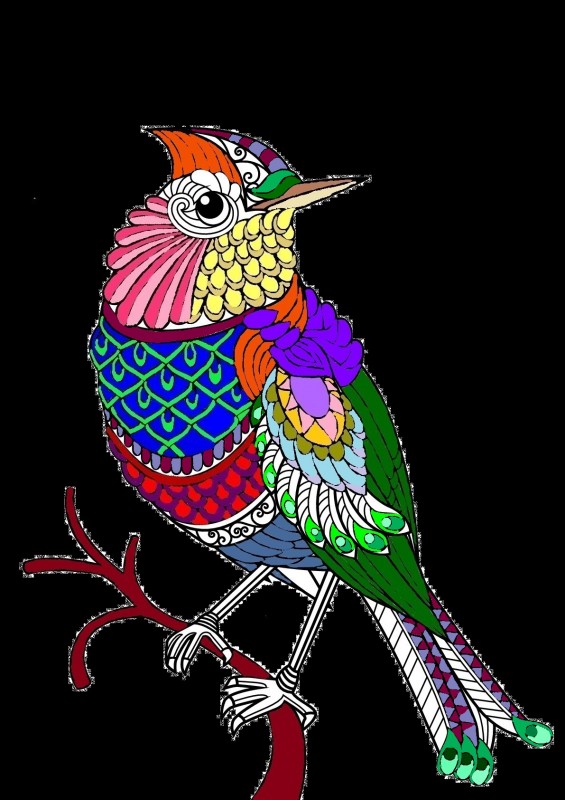 Creation pormeera, dibujo para colorear de la galería Aves