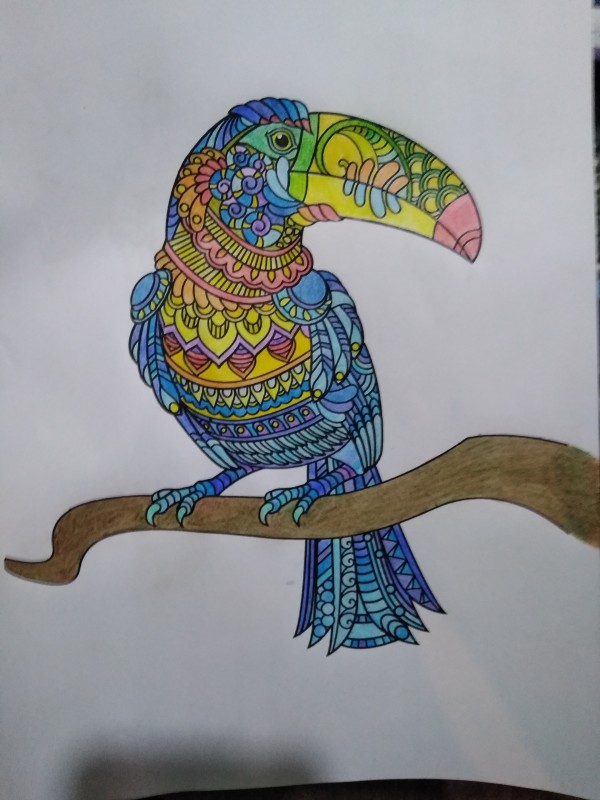 Creation porsteve, dibujo para colorear de la galería Aves