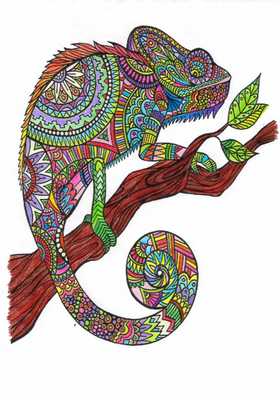 Creation porMaryM, dibujo para colorear de la galería Animales
