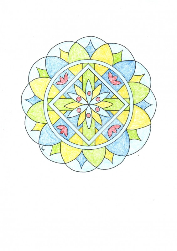 Creation porlolo85