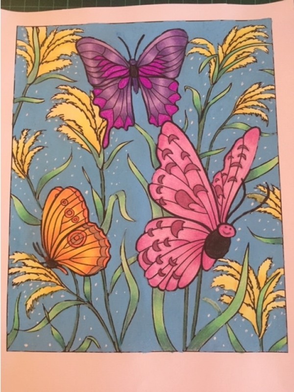 Creation porsandy, dibujo para colorear de la galería Mariposas e insectos