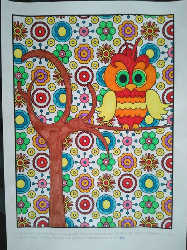 Creation porarmelle, dibujo para colorear de la galería Animales