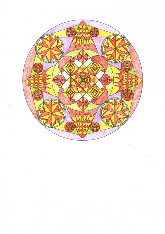 Creation porlolo85
