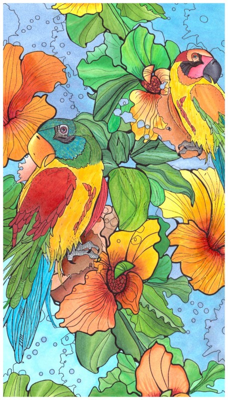Creation porggkiteplouff76, dibujo para colorear de la galería Aves