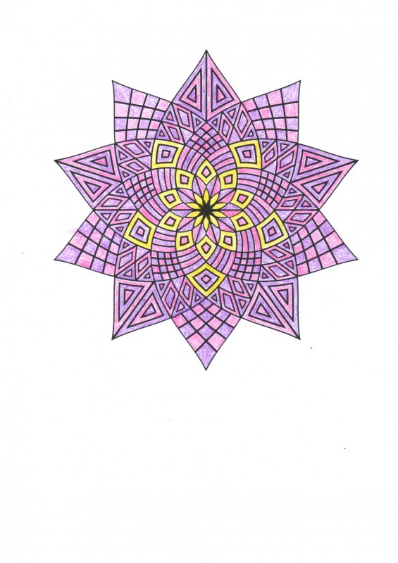 Creation porlolo85