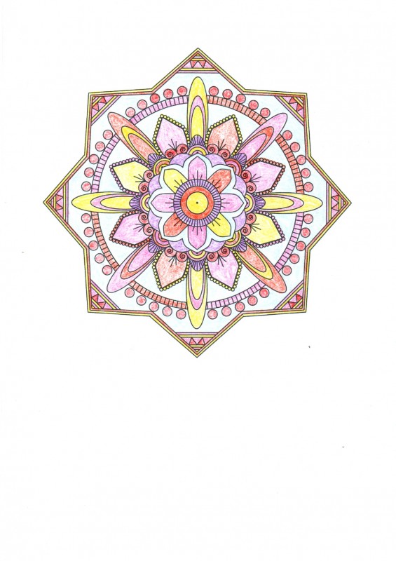 Creation porlolo85