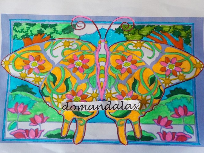 mariposas-e-insectos