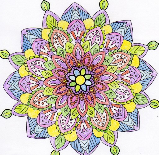 fleurs-et-vegetation
