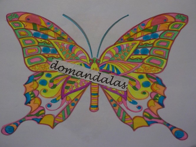 mariposas-e-insectos