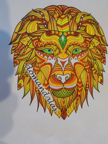 africa