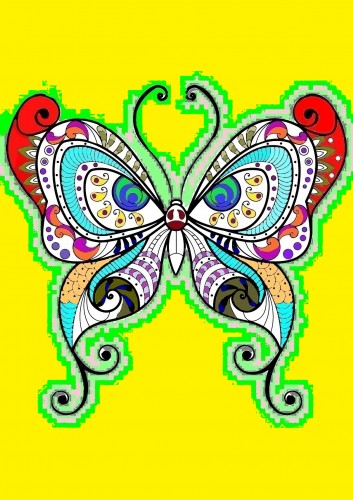 mariposas-e-insectos