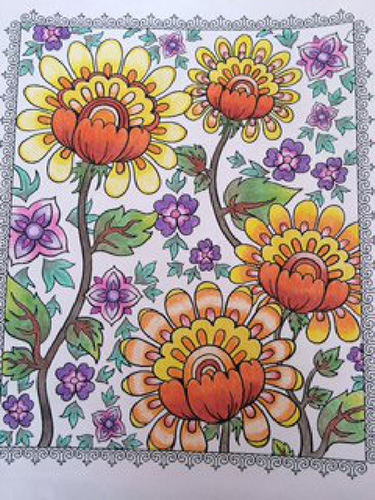 flores-y-vegetacion