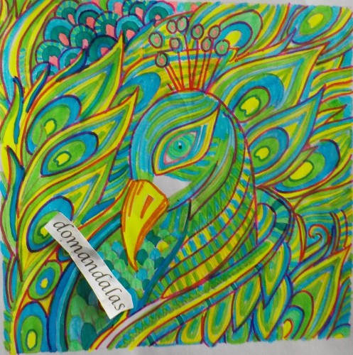 pavos-reales