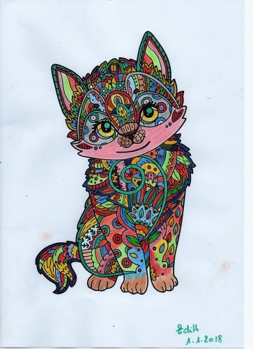 gatos